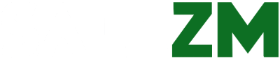 Salezm